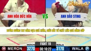 TRẬN 19 CPC2 3/6/2026