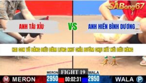TRẬN 19 CPC3 6/6/2026