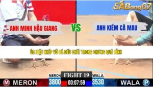 TRẬN 19 CPC3 8/6/2026
