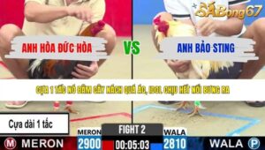 TRẬN 2 CPC2 3/6/2026