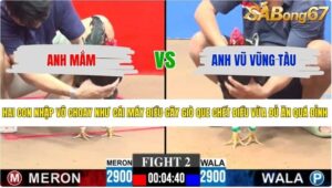 TRẬN 2 CPC3 7/6/2026