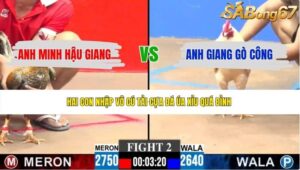 TRẬN 1 CPC2 8/6/2026
