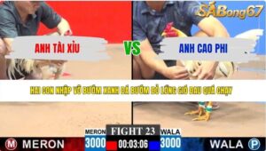 TRẬN 23 CPC3 6/6/2026