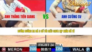 TRẬN 24 CPC3 4/6/2026