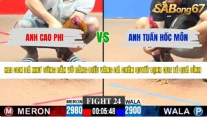 TRẬN 24 CPC3 6/6/2026