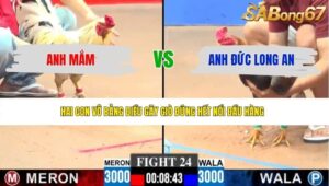 TRẬN 24 CPC3 7/6/2026