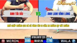 TRẬN 25 CPC3 7/6/2026