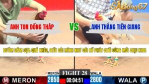 TRẬN 28 CPC3 4/6/2026