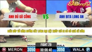 TRẬN 29 CPC2 1/6/2026