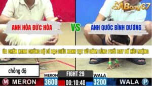 TRẬN 29 CPC2 5/6/2026