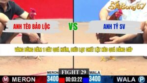 TRẬN 29 CPC3 4/6/2026