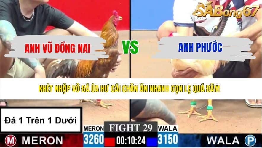 TRẬN 29 CPC3 8/6/2026