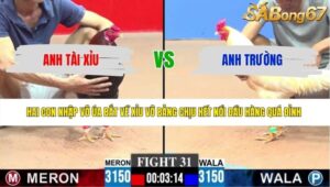 TRẬN 31 CPC3 7/6/2026