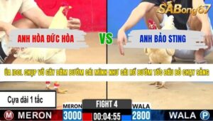 TRẬN 4 CPC2 5/6/2026