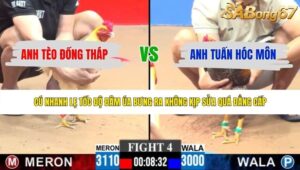 TRẬN 4 CPC3 4/6/2026