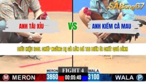 TRẬN 4 CPC3 6/6/2026