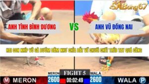 TRẬN 5 CPC3 6/6/2026