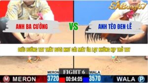 TRẬN 6 CPC3 4/6/2026
