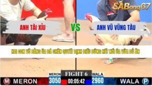 TRẬN 6 CPC3 7/6/2026