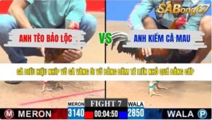 TRẬN 7 CPC3 6/6/2026