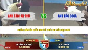TRẬN 7 THƯỜNG PHƯỚC 7/6/2026