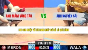 TRẬN 8 CPC3 7/6/2026