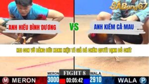 TRẬN 8 CPC3 8/6/2026
