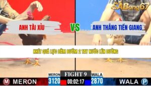 TRẬN 9 CPC3 4/6/2026